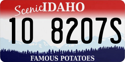 ID license plate 1O8207S