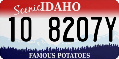 ID license plate 1O8207Y