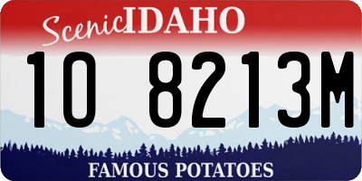 ID license plate 1O8213M