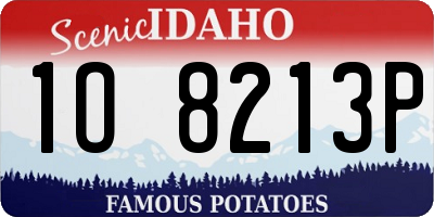 ID license plate 1O8213P