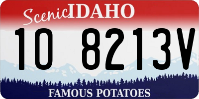 ID license plate 1O8213V