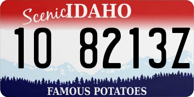 ID license plate 1O8213Z