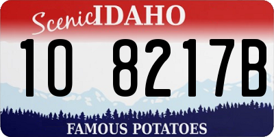 ID license plate 1O8217B