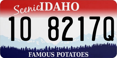 ID license plate 1O8217Q