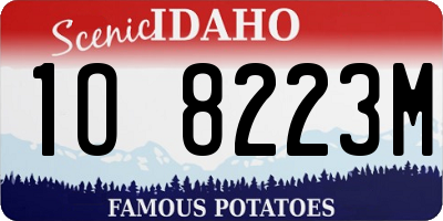 ID license plate 1O8223M