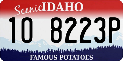 ID license plate 1O8223P