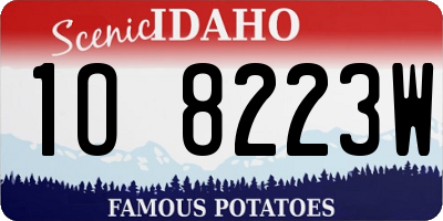 ID license plate 1O8223W