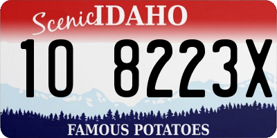 ID license plate 1O8223X