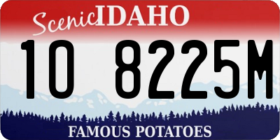 ID license plate 1O8225M