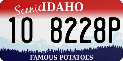 ID license plate 1O8228P