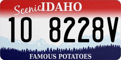 ID license plate 1O8228V