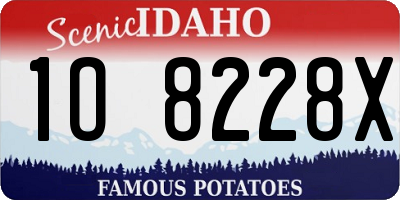ID license plate 1O8228X