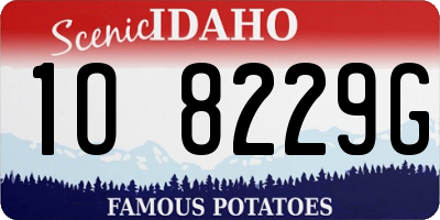 ID license plate 1O8229G