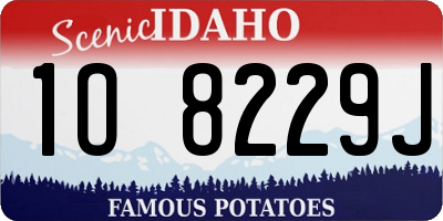 ID license plate 1O8229J