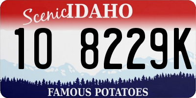 ID license plate 1O8229K