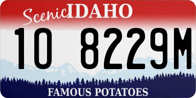 ID license plate 1O8229M