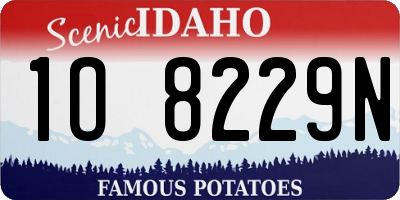 ID license plate 1O8229N