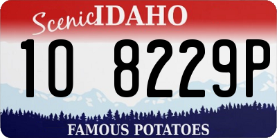 ID license plate 1O8229P