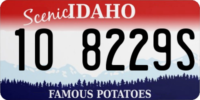 ID license plate 1O8229S