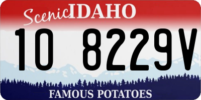 ID license plate 1O8229V