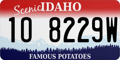 ID license plate 1O8229W