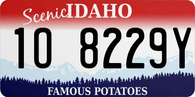 ID license plate 1O8229Y