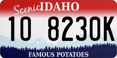 ID license plate 1O8230K