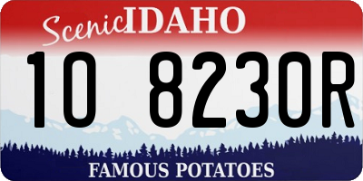 ID license plate 1O8230R
