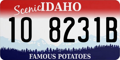 ID license plate 1O8231B