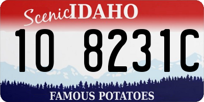 ID license plate 1O8231C