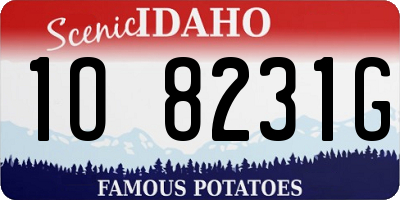 ID license plate 1O8231G