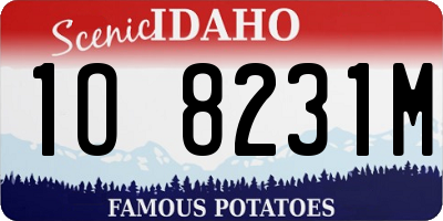 ID license plate 1O8231M
