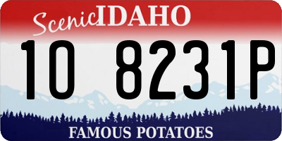 ID license plate 1O8231P