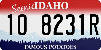 ID license plate 1O8231R