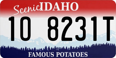 ID license plate 1O8231T