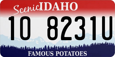 ID license plate 1O8231U