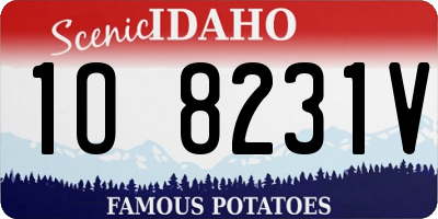 ID license plate 1O8231V