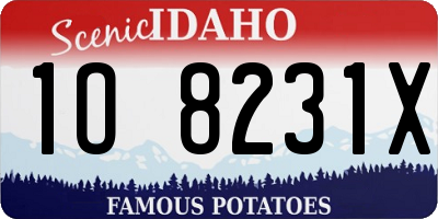 ID license plate 1O8231X