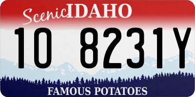 ID license plate 1O8231Y