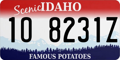 ID license plate 1O8231Z