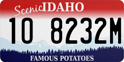 ID license plate 1O8232M