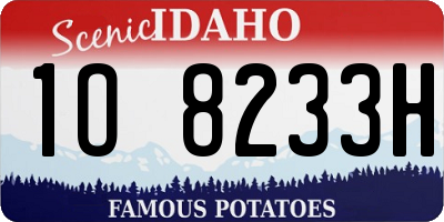 ID license plate 1O8233H