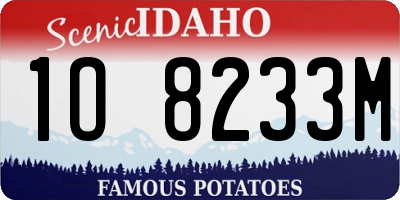 ID license plate 1O8233M