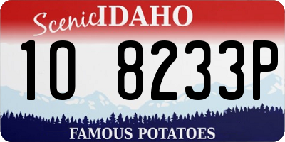 ID license plate 1O8233P