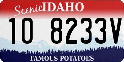 ID license plate 1O8233V