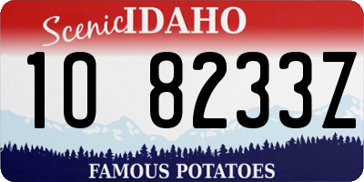 ID license plate 1O8233Z