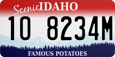 ID license plate 1O8234M