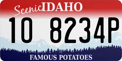 ID license plate 1O8234P