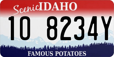 ID license plate 1O8234Y