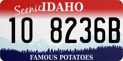 ID license plate 1O8236B